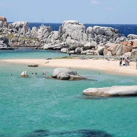 Calvi